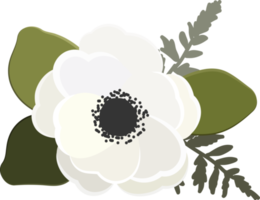 colorful anemone flower bouquet collection flat style png