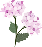 hermosa flor de hortensia de estilo plano en tono rosa y morado png
