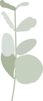 white camellia flower and green leaves branch flat style png