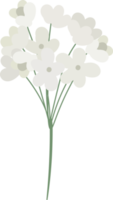 white camellia flower and green leaves branch flat style png