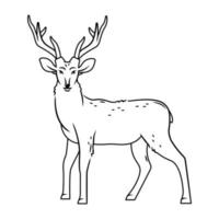 A cute deer stands on a white background. Vector illustration with cute forest animals in cartoon style. contour image