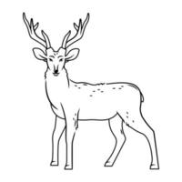 A cute deer stands on a white background. Vector illustration with cute forest animals in cartoon style. contour image