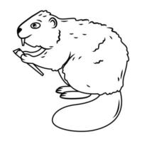 isolated image of a beaver. Cute forest animals in cartoon style. vector illustration contour image