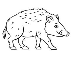 Cute boar stands on a white background. Vector illustration with cute forest animals in cartoon style. contour image