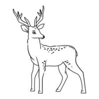 A cute deer stands on a white background. Vector illustration with cute forest animals in cartoon style. contour image