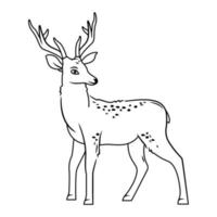 A cute deer stands on a white background. Vector illustration with cute forest animals in cartoon style. contour image