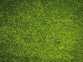 Green grass texture use as natural background. Wallpaper for design artwork photo