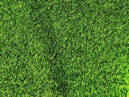 Top view of green grass texture background. Element of design. photo