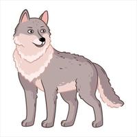 a gray wolf stands on a white background. Forest animals. Vector illustration with cute forest animals in cartoon style.