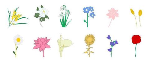 Colorful flowers vector set.