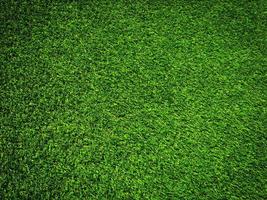 Nature green grass texture background for design. Eco concept. photo