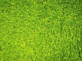 Artificial green lawn backyard for background. Texture for design photo