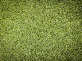 Nature green grass texture background for design. Eco concept. photo