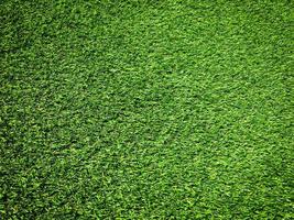 Modern green lawn texture background. Wallpaper for work and design. photo