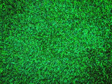 Beautiful green grass pattern from golf course for background. Copy space for work and design, Top view photo