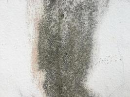 Old concrete wall texture for background with copy space for work photo