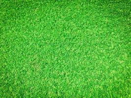 Beautiful green grass pattern from golf course for background. Copy space for work and design, Top view photo