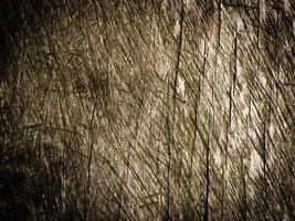 Wooden texture use as natural background photo