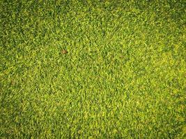 Beautiful green grass pattern from golf course for background. Copy space for work and design, Top view photo
