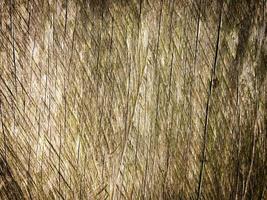 Old wood texture background for design photo