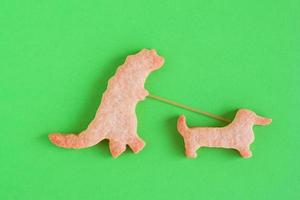 Homemade shortbread cookies on green background, top view. Dinosaur is walking with dog. photo