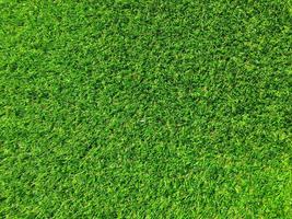 Nature green grass texture background for design. Eco concept. photo