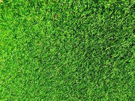 Closeup view of green grass soccer field background. Wallpaper for work and design. photo