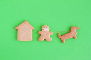 Homemade shortbread cookies with white glaze on green background, top view. Man with face mask is walking with dog near house. photo