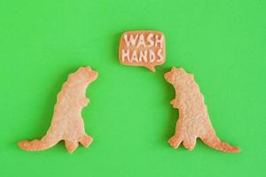 Two homemade cookies in shapes of dinosaurs with inscription - Wash hands - on green background, top view. Sweet shortbread with white glaze. Social distancing concept. photo