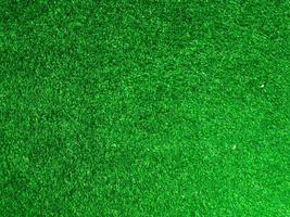 Green grass texture use as natural background. Wallpaper for design artwork photo