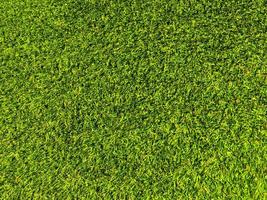 Beautiful green grass pattern from golf course for background. Copy space for work and design, Top view photo