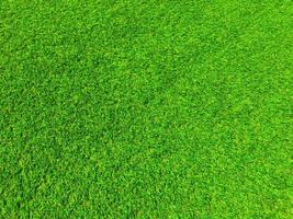 Green grass texture background with copy space for design, Top view photo