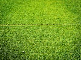 uso de textura de hierba verde como fondo natural. papel tapiz para obras de arte de diseño foto