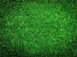 Nature green grass texture background for design. Eco concept. photo