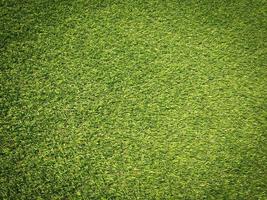 fondo de textura de hierba verde natural para el diseño. concepto ecológico. foto