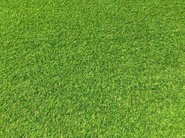 Top view of green grass texture background. Element of design. photo