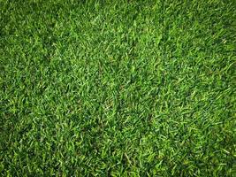 Closeup view of green grass soccer field background. Wallpaper for work and design. photo