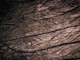 Wooden texture use as natural background photo