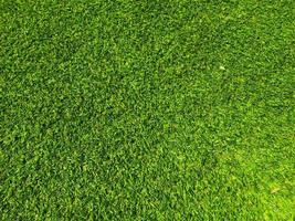 Top view of green grass texture background. Element of design. photo