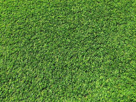 Beautiful green grass pattern from golf course for background. Copy space for work and design, Top view photo
