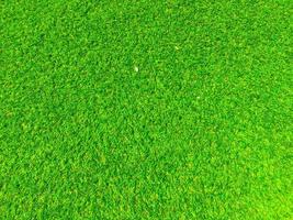 Top view of green grass texture background. Element of design. photo