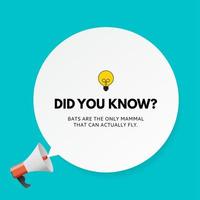 Did you know interesting fact Vector Illustration