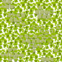 Seamless green grass texture with old stone tiles. png