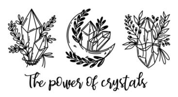 Magic crystals vector set. Quartz with plant branches, flowers. Moon prism, shining gem. The power of crystals. Black outline, sketch isolated on white. Illustration for cards, posters, prints, apps