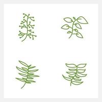 Hand drawn Set of leaf line art vector