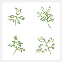 Hand drawn Set of leaf line art vector