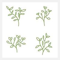 Hand drawn Set of leaf line art vector