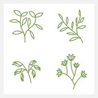 Hand drawn Set of leaf line art vector