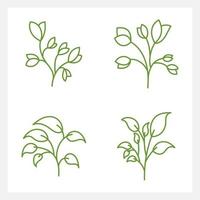 Hand drawn Set of leaf line art vector