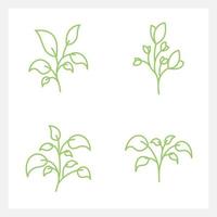 Hand drawn Set of leaf line art vector